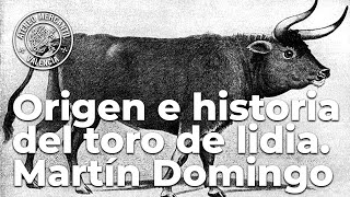 Origen e historia del toro de lidia por Martín Domingo [upl. by Engeddi]