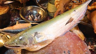 Wallago Attu Boal Fish Cutting Skills  Amazing Fish Cutting Video [upl. by Lapham]