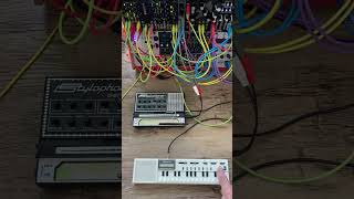 Charmaine AP Mantovani synth casio music casiovl1 stylophone modularsynth [upl. by Zurkow]