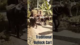 Bullock CartAmazing World Views httpswwwyoutubecomchannelUCdUZ9zKeBkP8oH7ioqpKCeg [upl. by Hirz]