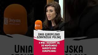 NIE ŻYCZĘ SOBIE aby Unia Europejska SZANTAŻOWAŁA POLSKĘ [upl. by Nevlin143]