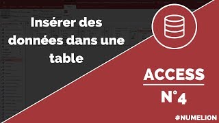 Tutoriel et cours Access n° 4  Insérer des données dans une table [upl. by Krystin]