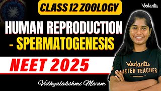 Class 12 Zoology  Human Reproduction  Spermatogenesis  NEET 2025  Vedantu NEET Tamil [upl. by Jak]