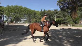 Centre Equestre le Parc Lézignan Corbières 4K [upl. by Coletta369]