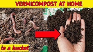 HOW TO MAKE VERMICOMPOST AT HOME  Make Enriched Vermicompost at Home And Use In Your Plants [upl. by Roane]