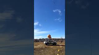 Giant Pumpkin Drop Compilation [upl. by Gala860]