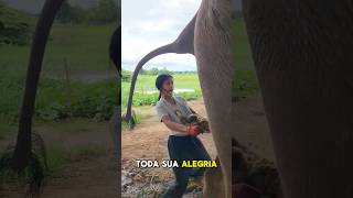 Ela coletava COCÔ de Elefante e ficava feliz 🐘 [upl. by Effy801]