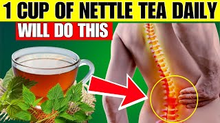 10 Powerful Nettle Tea Benefits SHOCKING RESULTS [upl. by Mcdowell411]