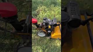 Grass cutting machine viralvideo grass decoration tools [upl. by Zetnom]