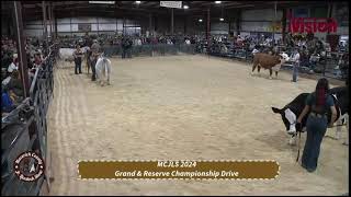 Maverick County Junior Livestock Show Day 3  Championship Drive  January 19 2024 [upl. by Nyrroc]