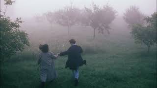 youre running through the misty forest with your lover during autumn  dark academia playlist [upl. by Dihsar]