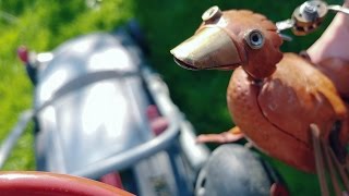 Dabchick MOWS the LAWN [upl. by Rurik]