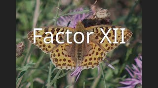 Factor XII [upl. by Eyot]