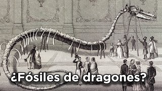 ¿Existieron los dragones [upl. by Stanway278]