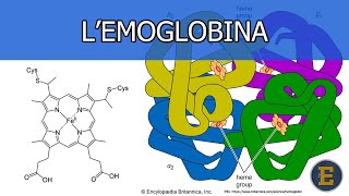 26 Lemoglobina 344 minuti [upl. by Fletch]