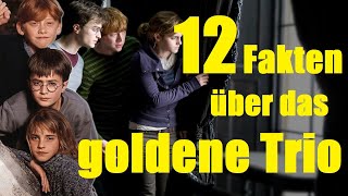 12 FAKTEN über das GOLDENE TRIO ✨ [upl. by Eonak720]