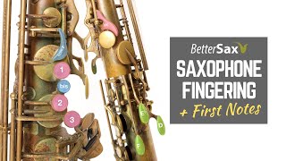 Beginner Saxophone Lesson 4  Fingering and First Notes [upl. by Nell]