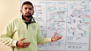 DNA Replication in EukaryotesInitiation Elongation TerminationCSIR NET in hindi [upl. by Clava953]