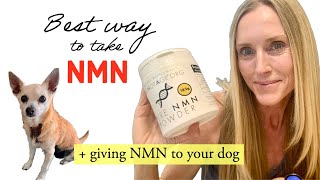 HOW amp WHEN to take NMNNR  Is LiposomalSublingual NMN better   How I give NMN to my dog [upl. by Aduhey]