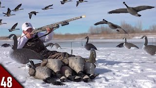 EPIC Solo Goose Hunt on ICE Limited Out  Goose Hunting 2022 [upl. by Faustine]