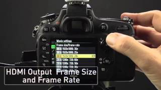 Atomos Shogun Nikon D610 Setup Guide [upl. by Nojram]