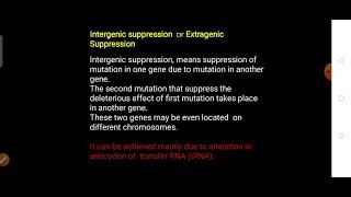 Intergenic or Extragenic Suppression  Genetic suppression part 2 [upl. by Alsi508]