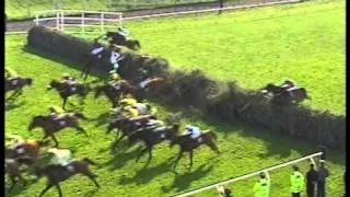 2002 Martell Topham Handicap Chase [upl. by Mccartan43]