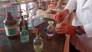 Test for Chloride ion in Lab by Seema Makhijani [upl. by Maunsell]