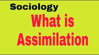 Sociology 24  What is Assimilation   Concept and Examples [upl. by Glaab409]