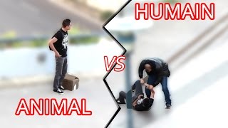 MALTRAITANCE DES ANIMAUX  BRUTAL ANIMAL ABUSE Expérience Sociale [upl. by Bluhm]