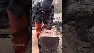 Chainsaw Milling a Firewood Sized Black Walnut Log granberg chainsawmilling [upl. by Annayat]