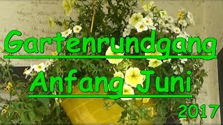 Gartenrundgang Anfang Juni 2017  Selbstversorger Garten  Gemüse Obst im Kübel Balkonkasten [upl. by Barty]