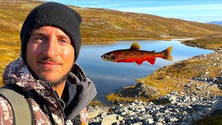 Trekking e Pesca tra le Montagne dellArtico Norvegese  I miei PRIMI Salmerini Selvatici in Lago [upl. by Orat]