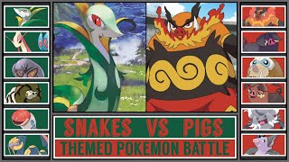 SNAKE POKÉMON vs PIG POKÉMON  Pokémon Scarlet amp Violet Battle [upl. by Brawner785]