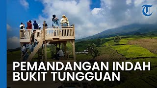 Bukit Tungguan Objek Wisata Baru di Kota Pagar Alam yang Menyajikan Pemandangan Hamparan Kebun Teh [upl. by Ylek]