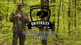 Dave Owens’ Turkey Calling Tips CUTTING [upl. by Airbas]