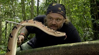 A SERPENTE MAIS TEMIDA DA AMAZÔNIA  RICHARD RASMUSSEN [upl. by Wagoner]