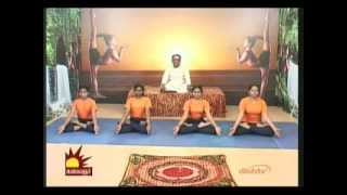 Dr Asana Andiappan Kalaignar Tv Yoga Program 05032013 [upl. by Ydarg]