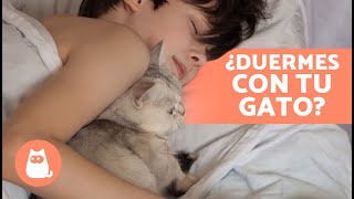 5 BENEFICIOS de DORMIR con tu GATO 🐱💤 ¿Es Bueno Dormir con Tu Gato [upl. by Schoening521]