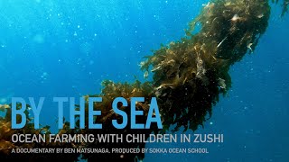 BY THE SEA  Ocean Farming with children in ZUSHI Japan [upl. by Eelyk]