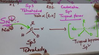 Trick for SN1 and SN2 Haloalkanes amp Haloarenes [upl. by Nireil]