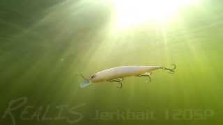 DUOs Lures in Motion 13 Realis Jerkbait 120SP [upl. by Faria]