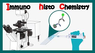 Immunohistochemistry  How to perform immunohistochemistry  application of immunohistochemistry [upl. by Demetria]