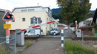 Bahnübergang Freienbach CH  Swiss Railroad Crossing [upl. by Rozek]