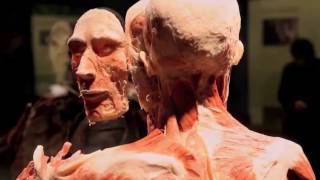 BODY WORLDS Vital [upl. by Ahseet797]