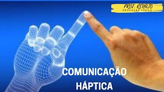 Comunicação Háptica  Prof Renato Pereira [upl. by Nonac]