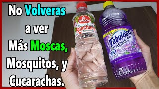 Úsalo en Casa y 10 Minutos Después no Volverás a Ver más Moscas Mosquitos o Cucarachas en tu Hogar [upl. by Zetnauq139]