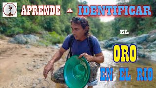 COMO IDENTIFICAR EL ORO EN EL RIO [upl. by Anizor]