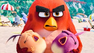 Angry Birds Mystery Island  Official Trailer  Prime Video [upl. by Gayleen]