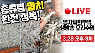 🔴 3월28일 오후8시  고품격 요리교실 멸치볶음 완전정복👍 잔멸치중멸치육수용멸치 일주일반찬 Liveshow 영자씨의부엌 [upl. by Emmit]